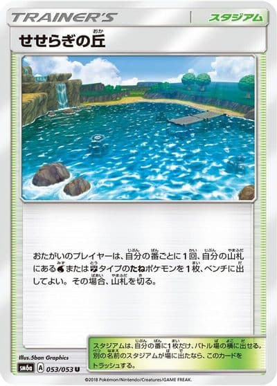 Brooklet Hill SM6a: Dragon Storm Pokemon card