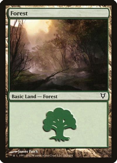 Forest 242 Avacyn Restored Magic card