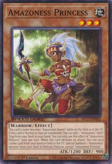 Amazoness Princess Speed Duel: Battle City Finals Yu-Gi-Oh! card