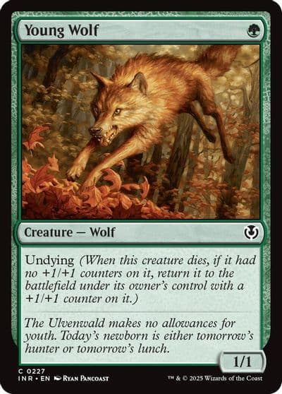 Young Wolf Innistrad Remastered Magic card