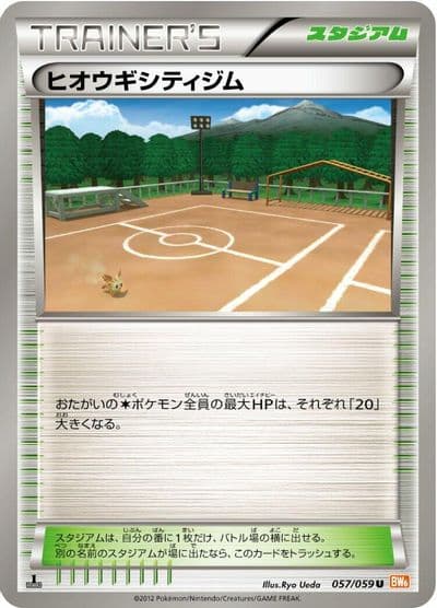 Aspertia City Gym BW6: Cold Flare Pokemon card