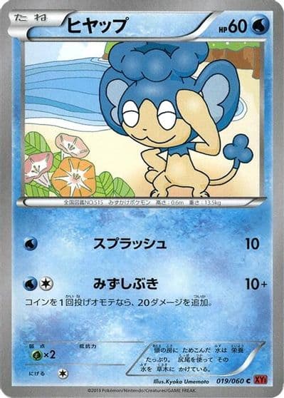 Panpour XY-By: Collection Y Pokemon card