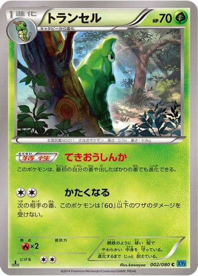 Metapod XY2: Wild Blaze Pokemon card