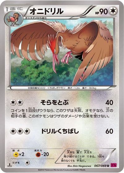 Fearow XY4: Phantom Gate Pokemon card