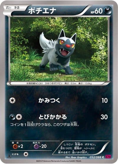 Poochyena XY4: Phantom Gate Pokemon card