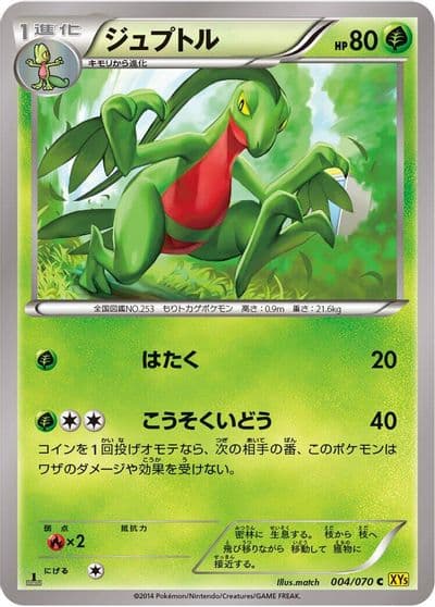 Grovyle XY5-Bg: Gaia Volcano Pokemon card