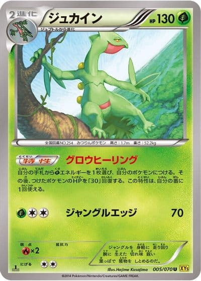Sceptile XY5-Bg: Gaia Volcano Pokemon card