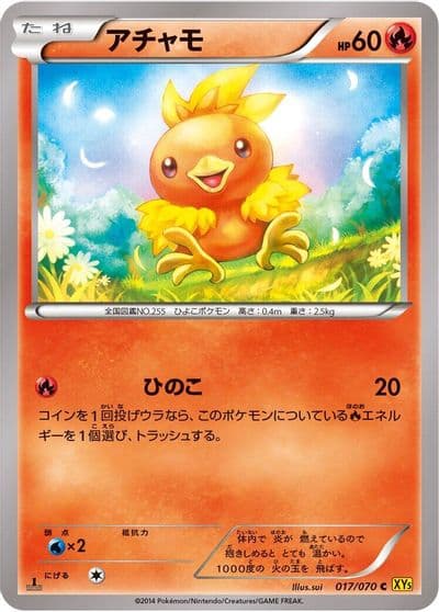 Torchic XY5-Bg: Gaia Volcano Pokemon card