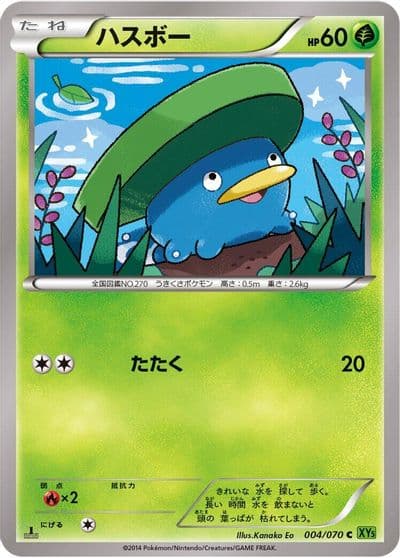Lotad XY5-Bt: Tidal Storm Pokemon card