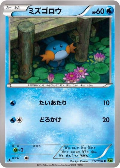 Mudkip XY5-Bt: Tidal Storm Pokemon card