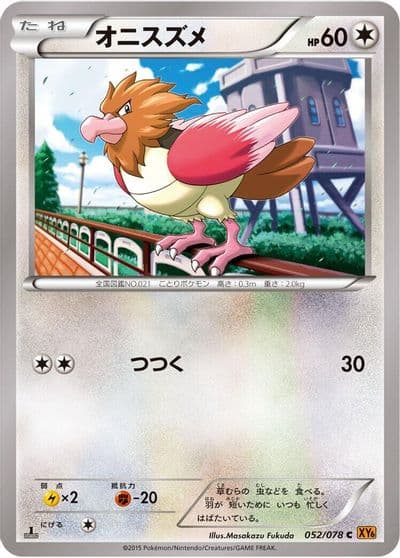 Spearow XY6: Emerald Break Pokemon card