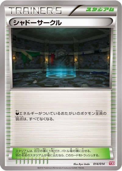 Shadow Circle Yveltal Half Deck Pokemon card