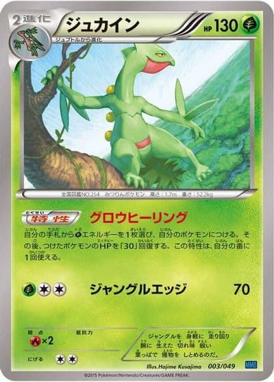Sceptile M Master Deck Build Box Speed Style Pokemon card