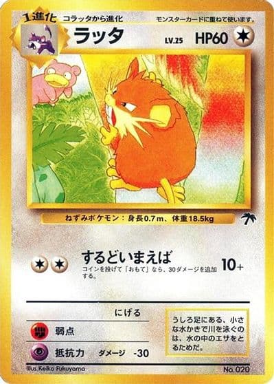 Raticate Southern Island Pokemon card
