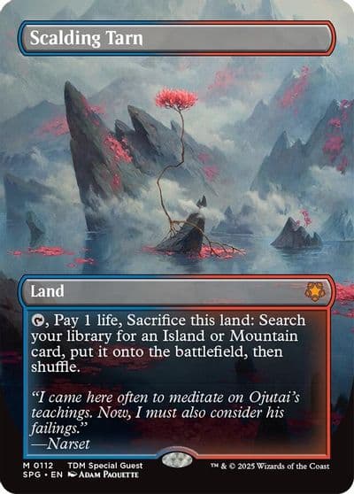 Scalding Tarn Borderless Special Guests Magic card