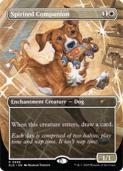 Spirited Companion 0896 Secret Lair Drop Series Magic card