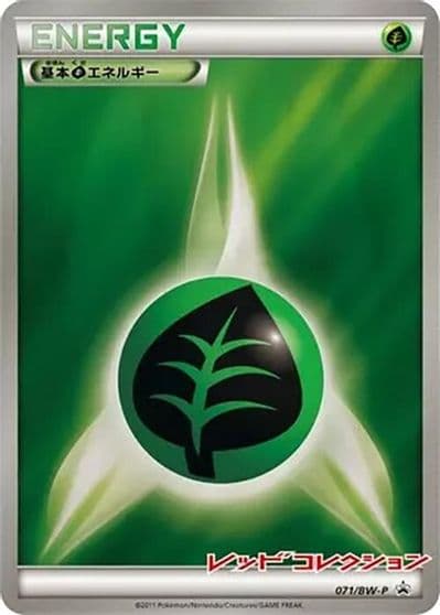 Basic Grass Energy BW-P Promotional cards Pokemon card