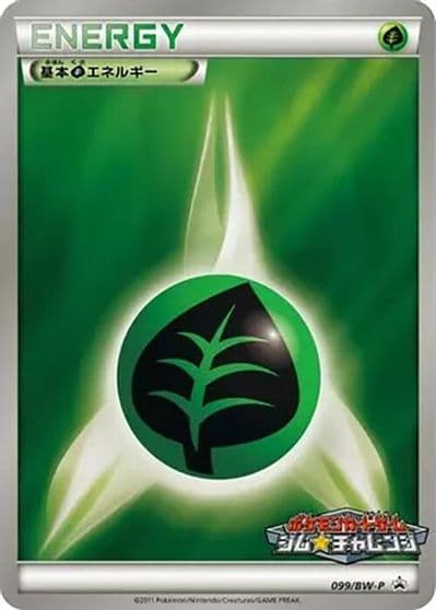 Basic Grass Energy BW-P Promotional cards Pokemon card