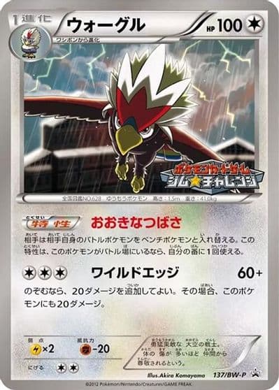 Braviary BW-P Promotional cards Pokemon card