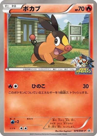 Tepig BW-P Promotional cards Pokemon card