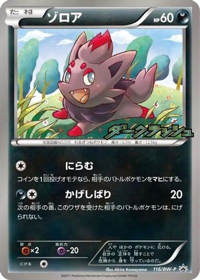 Zorua BW-P Promotional cards Pokemon card
