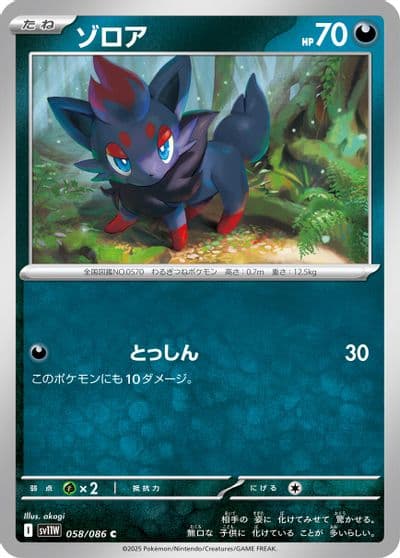 Zorua SV11W: White Flare Pokemon card