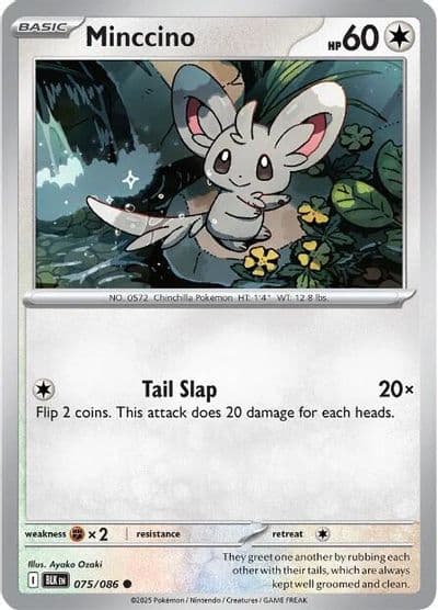 Minccino SV: Black Bolt Pokemon card
