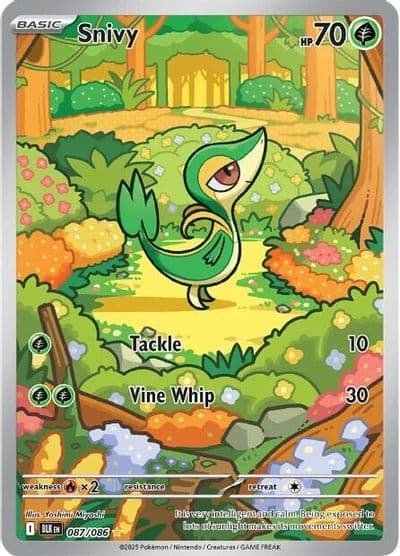 Snivy SV: Black Bolt Pokemon card