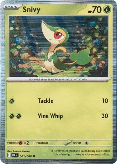Snivy Miscellaneous Cards & Products Pokemon card