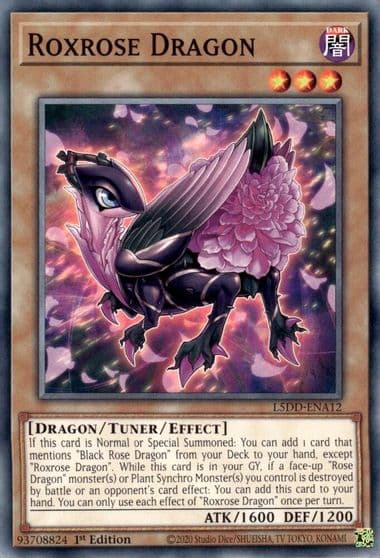 Roxrose Dragon Legendary 5D's Decks Yu-Gi-Oh! card