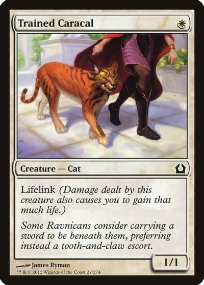 Trained Caracal Return to Ravnica Magic card