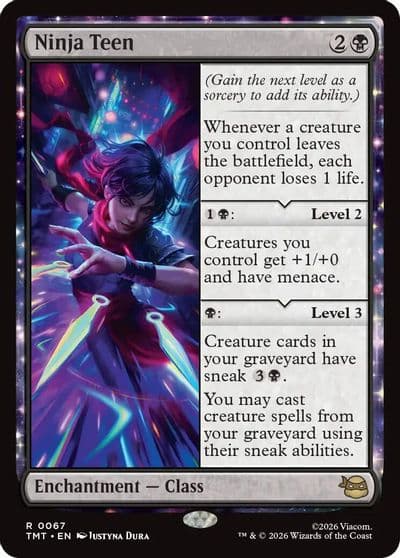 Ninja Teen Teenage Mutant Ninja Turtles Magic card