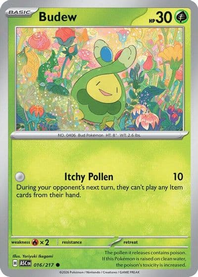 Budew ME: Ascended Heroes Pokemon card