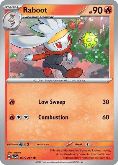 Raboot ME: Ascended Heroes Pokemon card