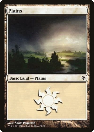 Plains 38 Duel Decks: Sorin vs. Tibalt Magic card