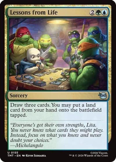 Lessons from Life Teenage Mutant Ninja Turtles Magic card