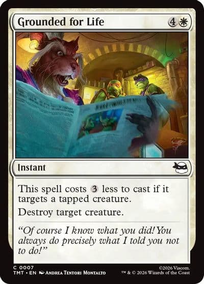 Grounded for Life Teenage Mutant Ninja Turtles Magic card