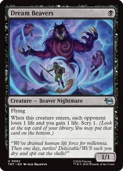 Dream Beavers Teenage Mutant Ninja Turtles Magic card