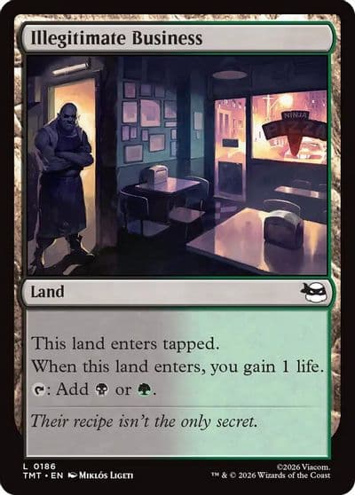 Illegitimate Business Teenage Mutant Ninja Turtles Magic card