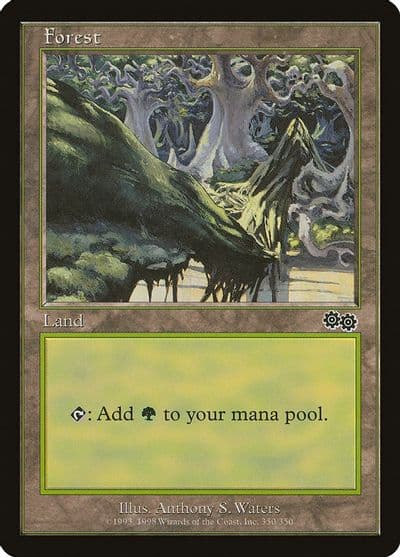 Forest 350 Urza's Saga Magic card