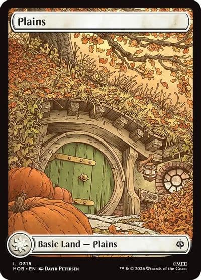 Plains 0315 The Hobbit Magic card