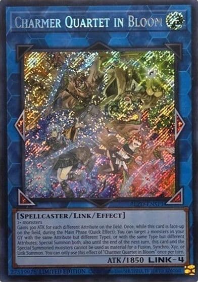 Charmer Quartet in Bloom Secret Rare Blazing Dominion Yu-Gi-Oh! card