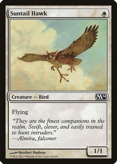 Suntail Hawk Magic 2014 (M14) Magic card