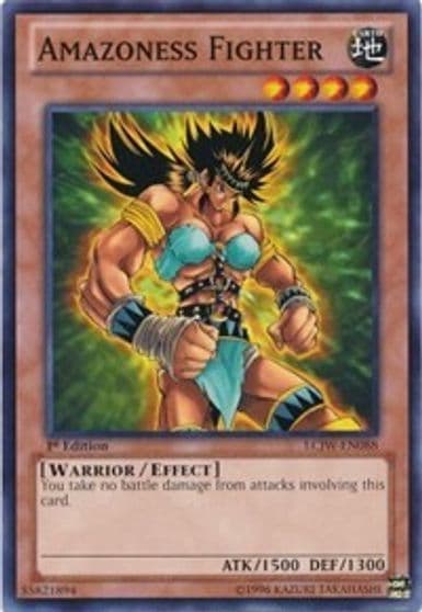 Amazoness Fighter Legendary Collection 4: Joey's World Yu-Gi-Oh! card