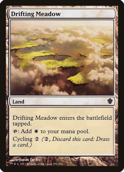 Drifting Meadow Commander 2013 Magic card