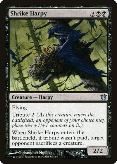 Shrike Harpy Born of the Gods Magic card
