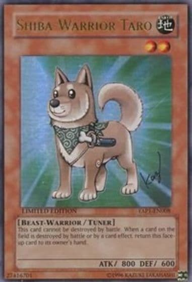 Shiba Warrior Taro Anniversary Pack Yu-Gi-Oh! card