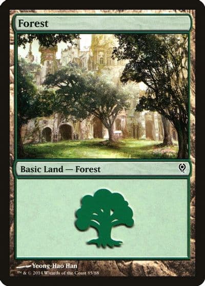 Forest 85 Duel Decks: Jace vs. Vraska Magic card