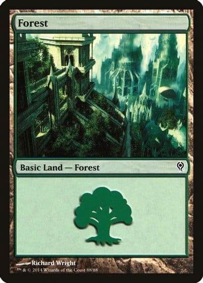 Forest 88 Duel Decks: Jace vs. Vraska Magic card