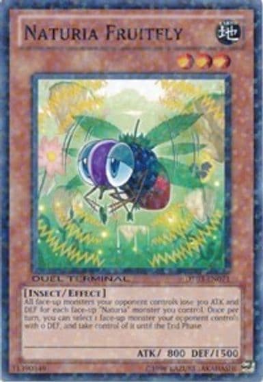 Naturia Fruitfly Duel Terminal 3 Yu-Gi-Oh! card